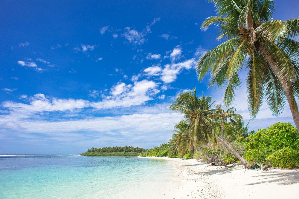 Sunscape Dominicus La Romana 5*