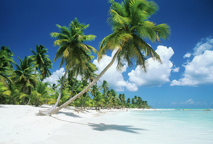 Catalonia Bayahibe 5*