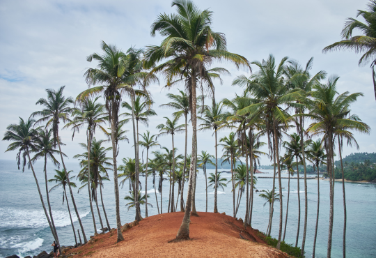 ANANTARA TANGALLE 5*