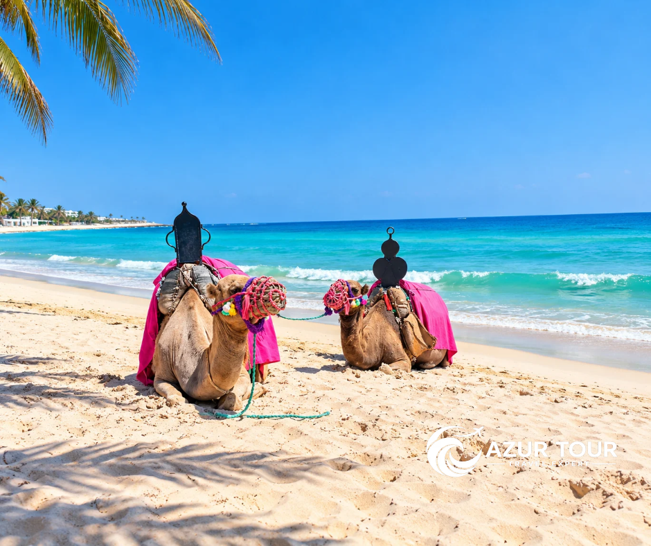 Sentido Djerba Beach Premium 4*