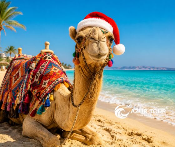 Нова Година в Шарм Ел Шейх от София